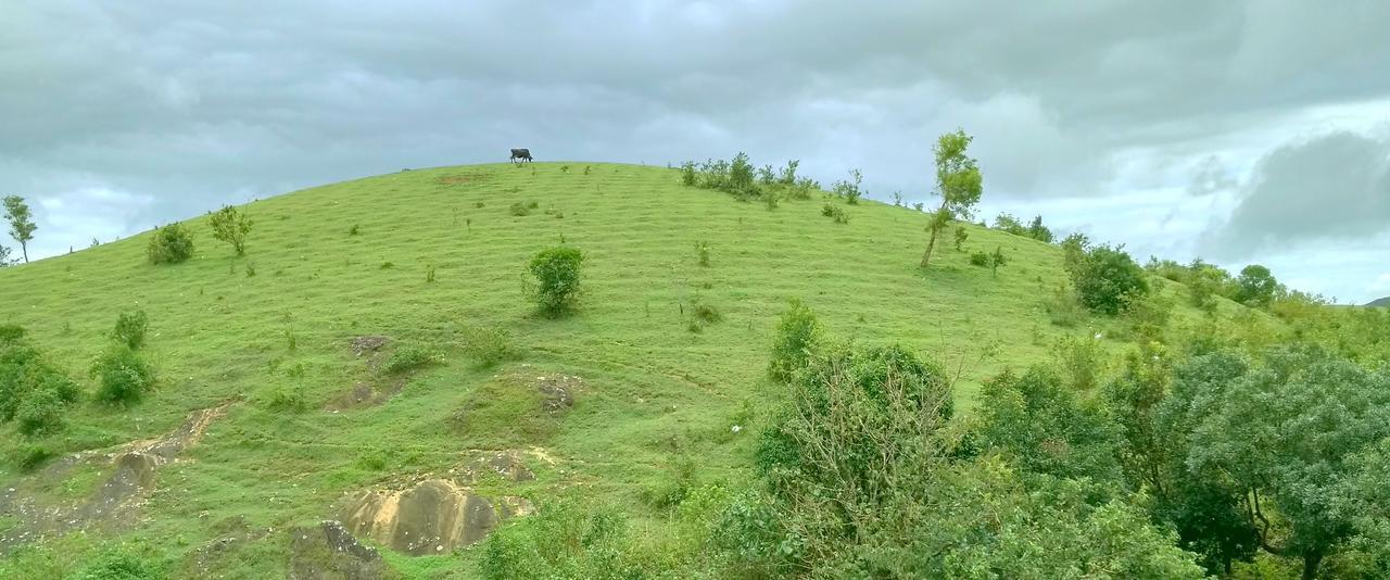 Hotel Vagamon Clouds Extérieur photo